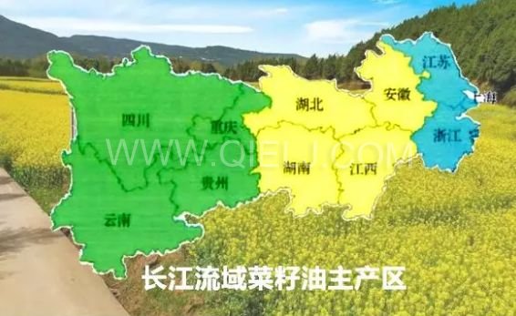 濃香菜籽油成套設備,企鵝糧油機械品質出眾(圖1) 濃香菜籽油成套設備,企鵝糧油機械品質出眾(圖1)