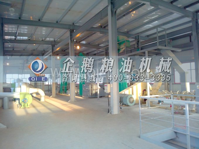 如何提取到高質(zhì)量的大豆油？一條企鵝浸出生產(chǎn)線就足夠了(圖2)